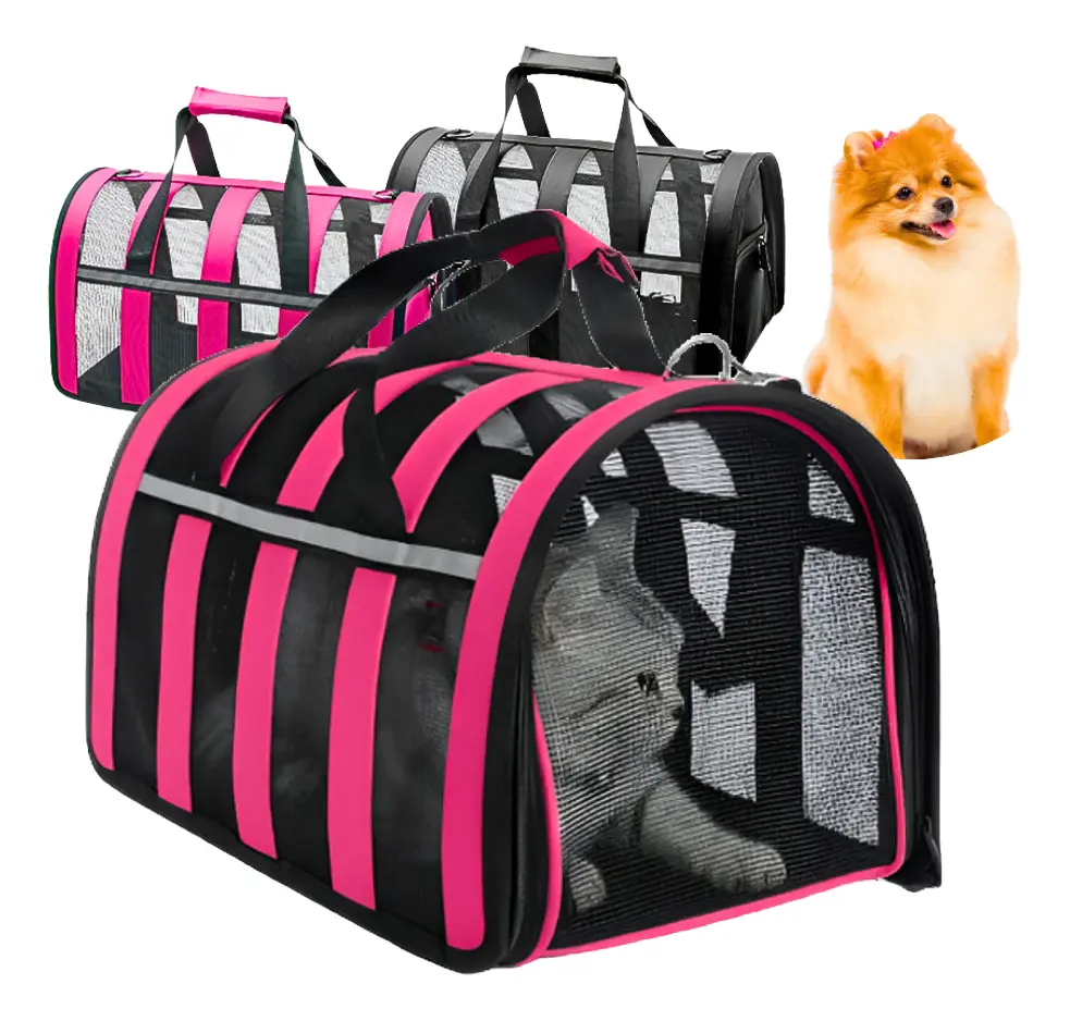 Bolsa Pet Cães E Gatos Avião Luxo Transporte Mala Viagem