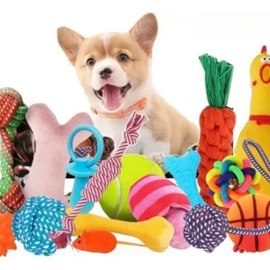 Kit 6 Brinquedos Mordedor Cachorro Filhote Anti Estress Pet