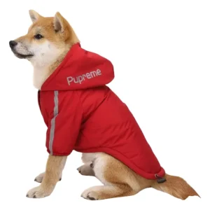 Pet Roupa Impermeável